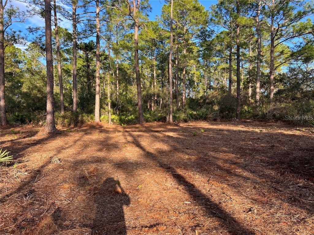 TBD Chinaberry Way Eustis FL 32736 V4945114 image1