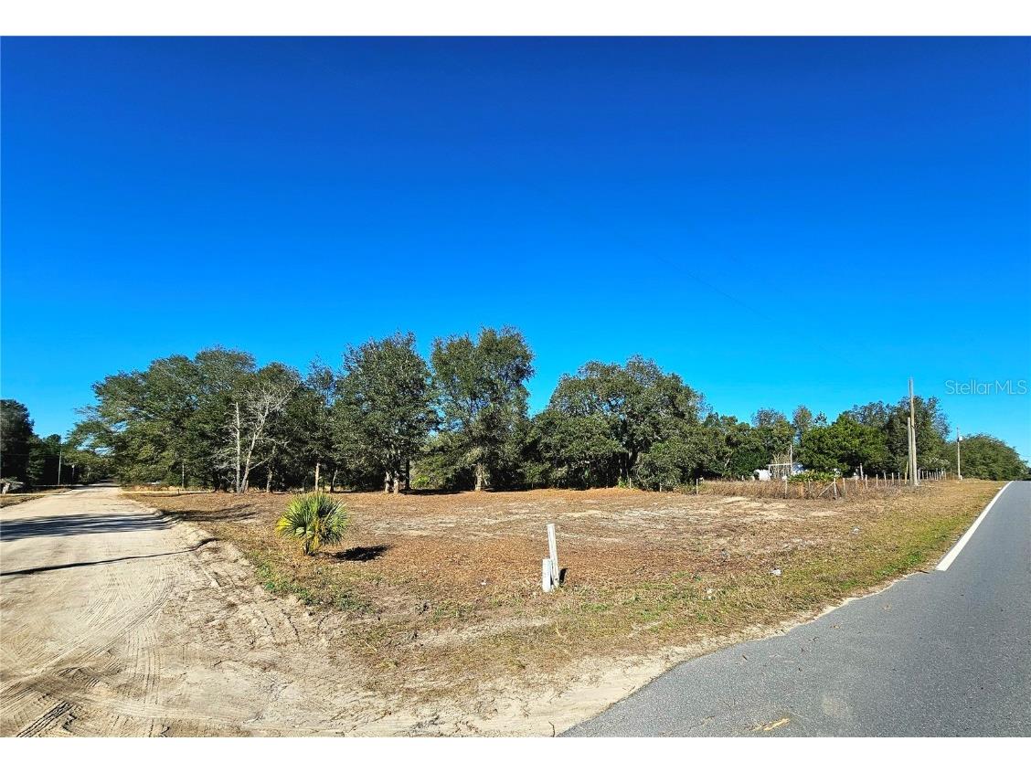 TBD Clifford Street Interlachen FL 32148 GC518834 image1