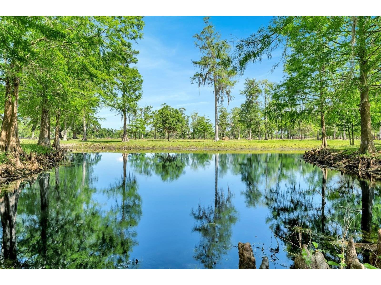 TBD Corkwood Lane Astatula FL 34705 O6314247 image1