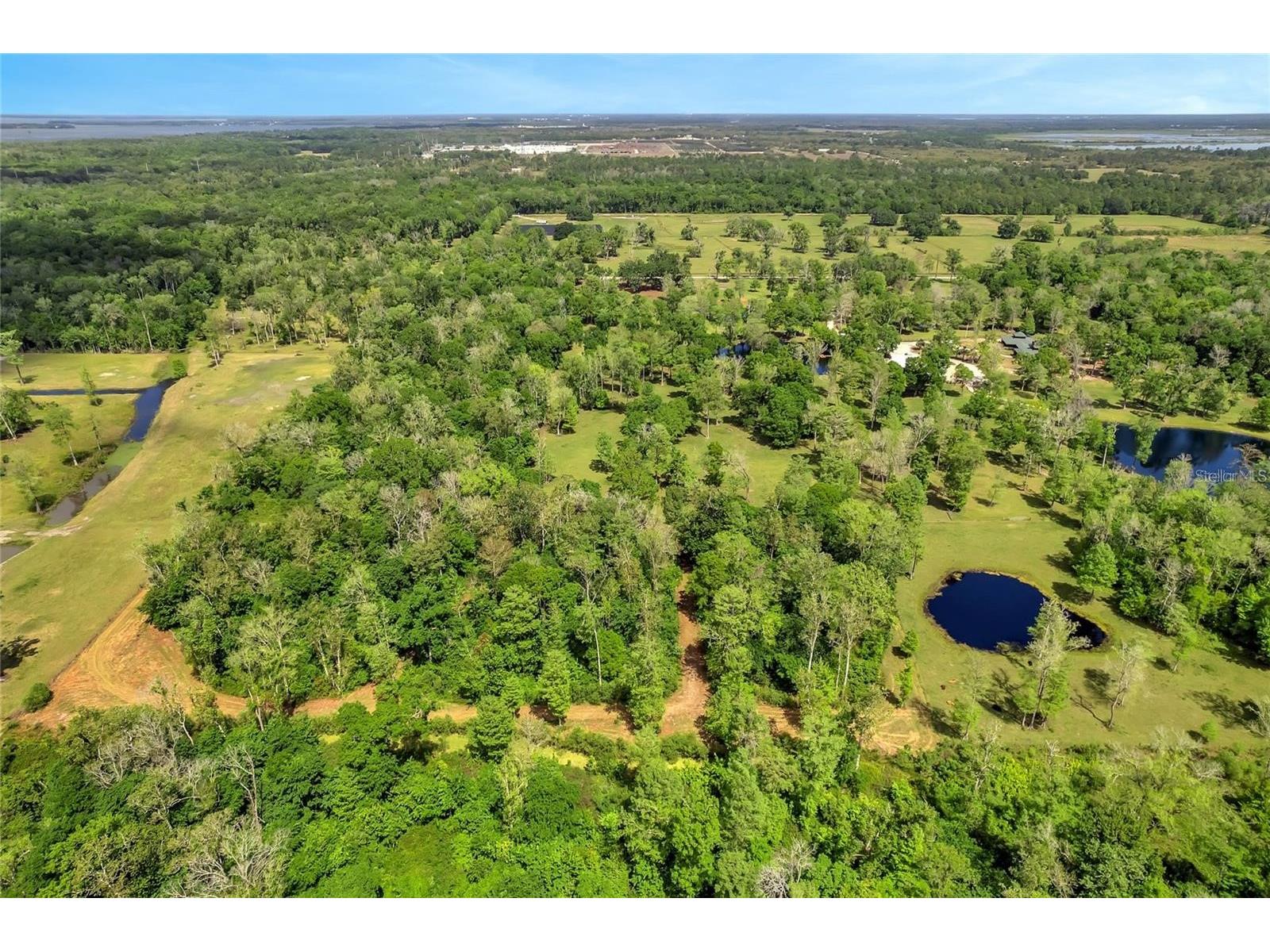 TBD Corkwood Lane Astatula FL 34705 O6314247 image10