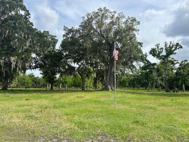 TBD Corkwood Lane Astatula FL 34705 O6314247 image11