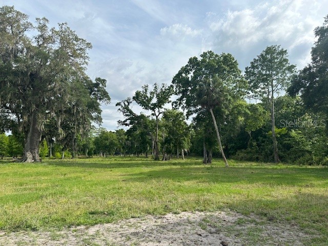 TBD Corkwood Lane Astatula FL 34705 O6314247 image13