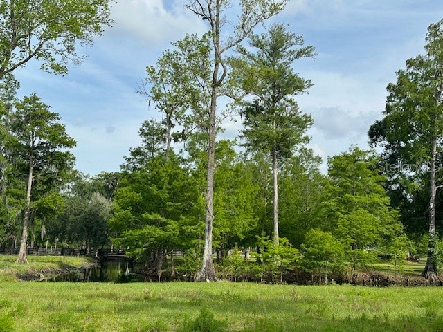TBD Corkwood Lane Astatula FL 34705 O6314247 image14
