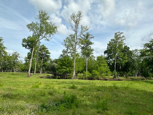 TBD Corkwood Lane Astatula FL 34705 O6314247 image15