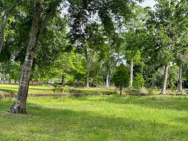 TBD Corkwood Lane Astatula FL 34705 O6314247 image16