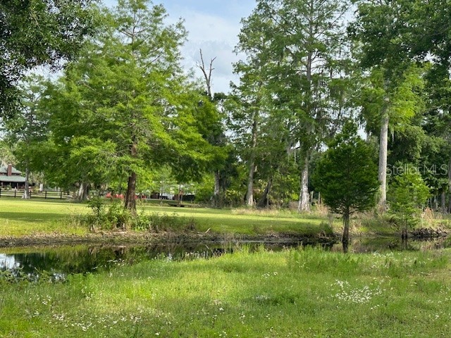 TBD Corkwood Lane Astatula FL 34705 O6314247 image17