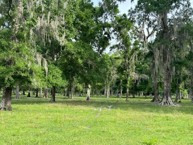 TBD Corkwood Lane Astatula FL 34705 O6314247 image19