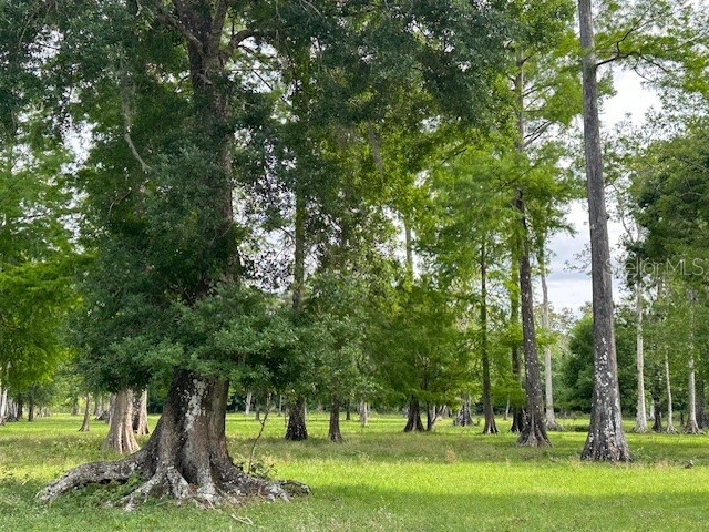 TBD Corkwood Lane Astatula FL 34705 O6314247 image20