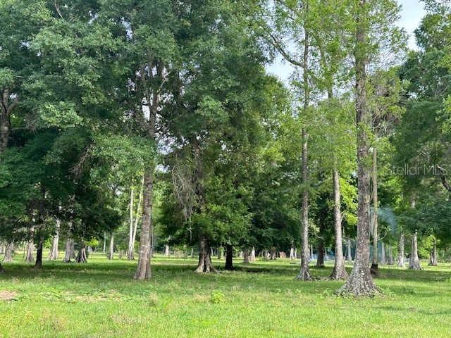 TBD Corkwood Lane Astatula FL 34705 O6314247 image21