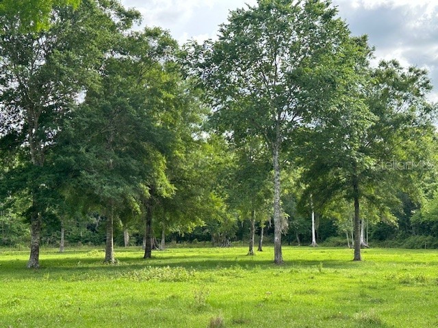 TBD Corkwood Lane Astatula FL 34705 O6314247 image23