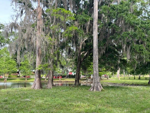 TBD Corkwood Lane Astatula FL 34705 O6314247 image25