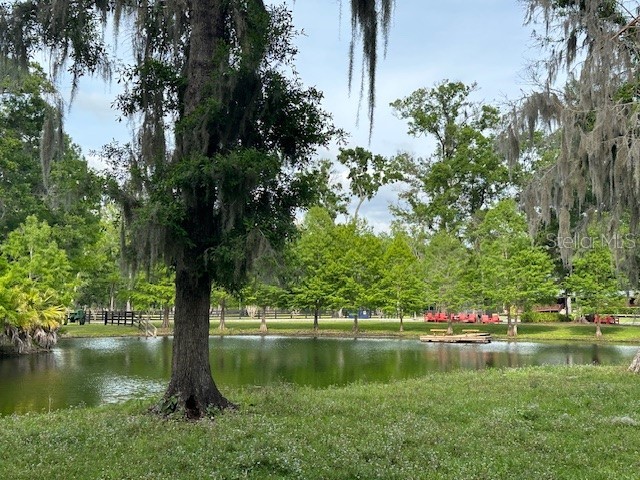 TBD Corkwood Lane Astatula FL 34705 O6314247 image26