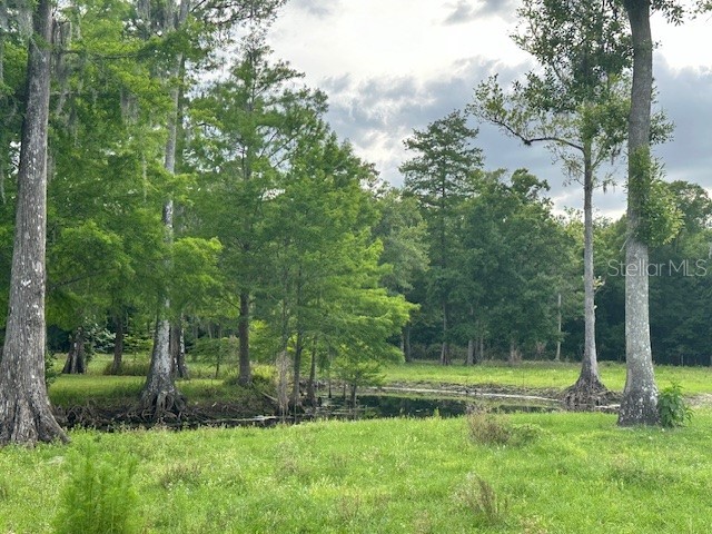 TBD Corkwood Lane Astatula FL 34705 O6314247 image41