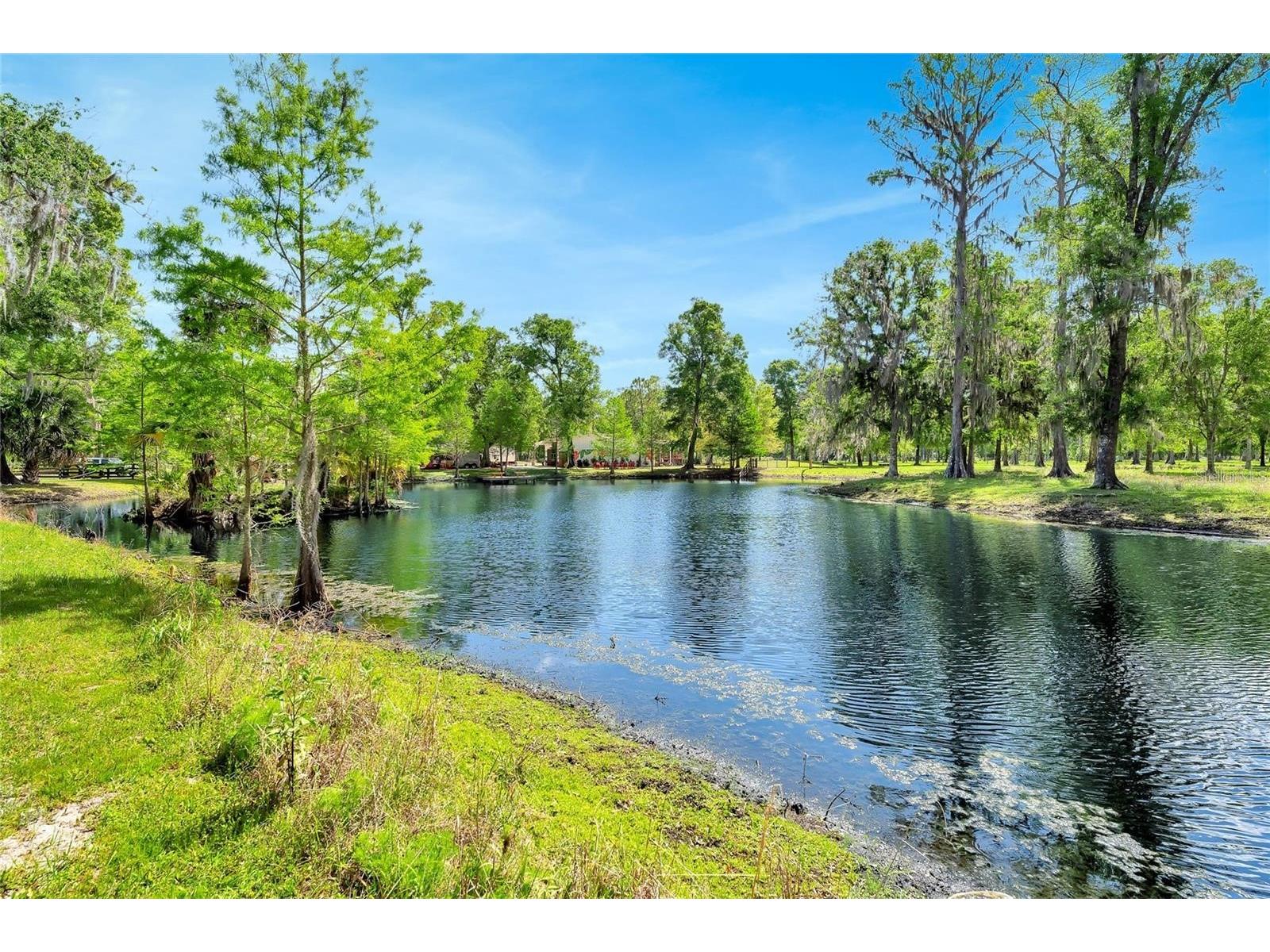 TBD Corkwood Lane Astatula FL 34705 O6314247 image6