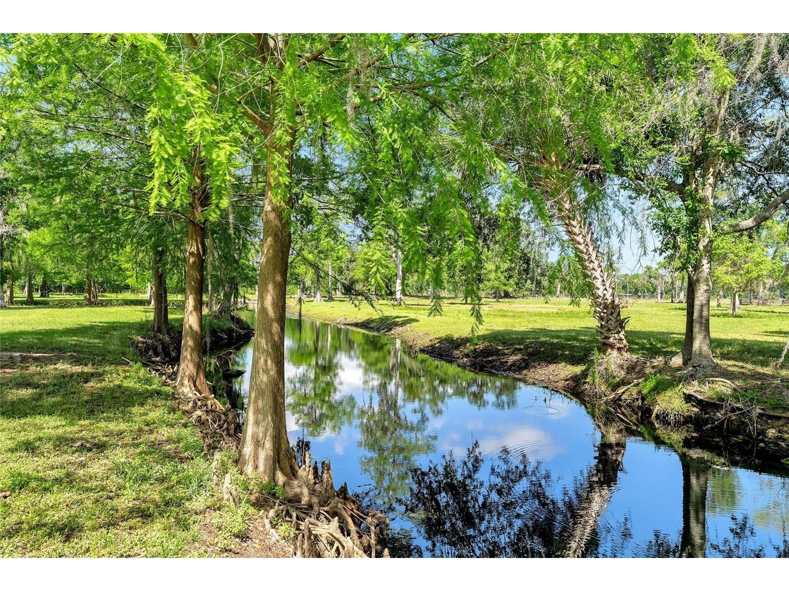 TBD Corkwood Lane Astatula FL 34705 O6314247 image7