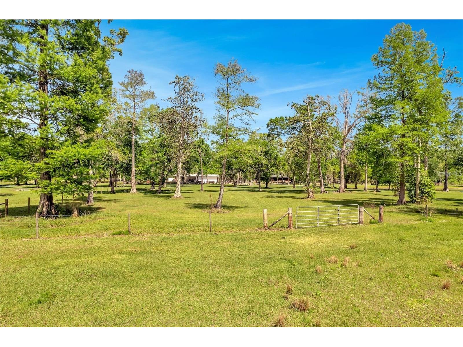 TBD Corkwood Lane Astatula FL 34705 O6314247 image8