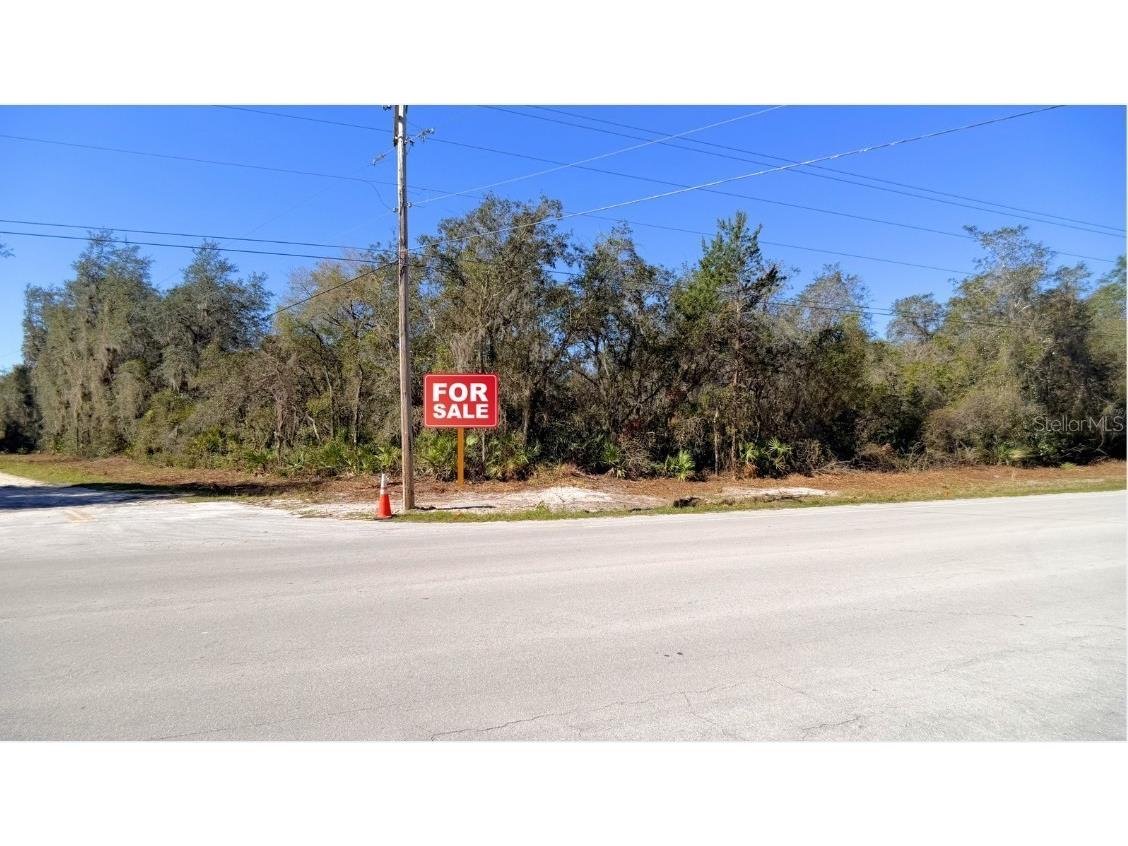 TBD Corner Lot 175th Street Road NE Citra FL 32113 A4688331 image3