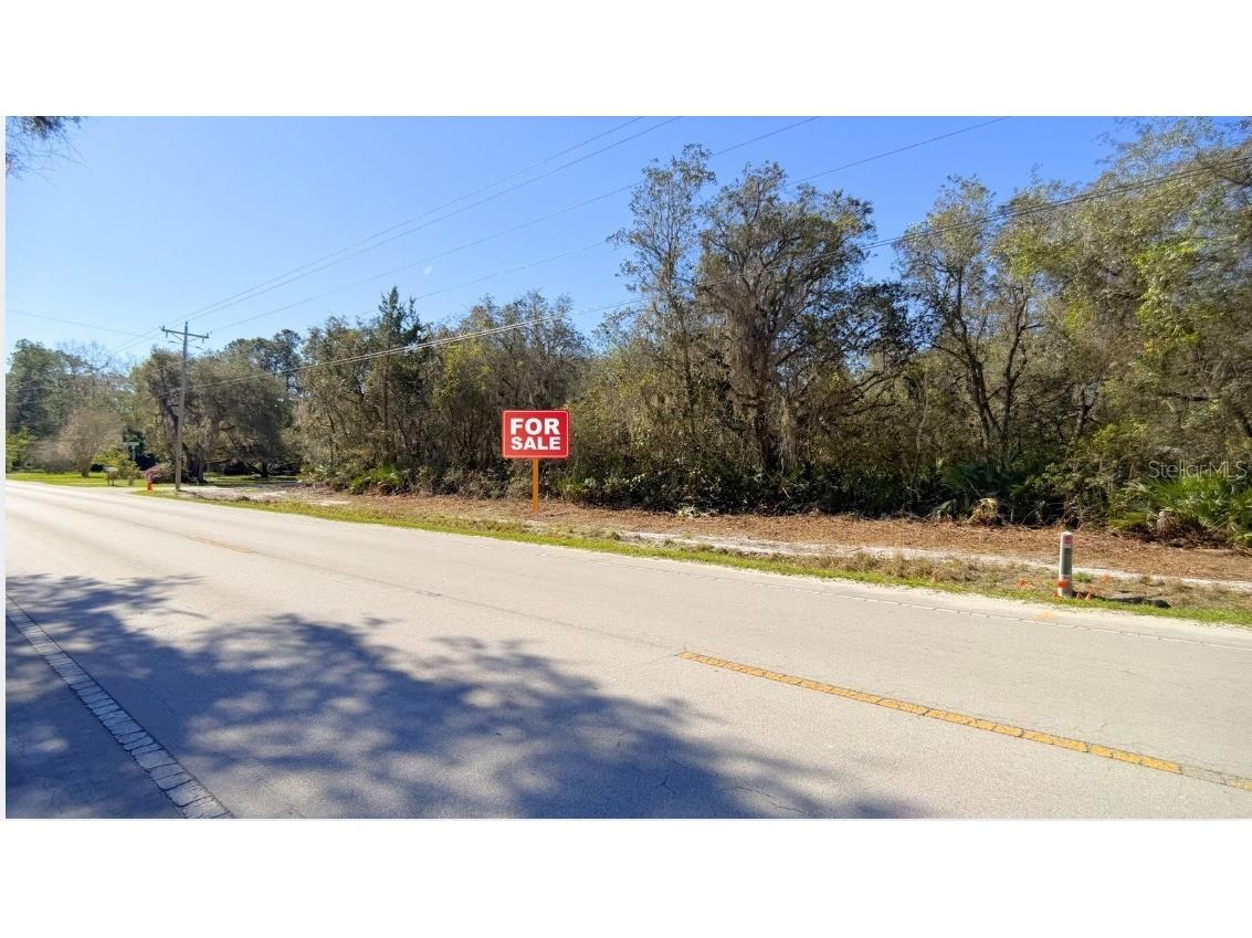 TBD Corner Lot 175th Street Road NE Citra FL 32113 A4688331 image4