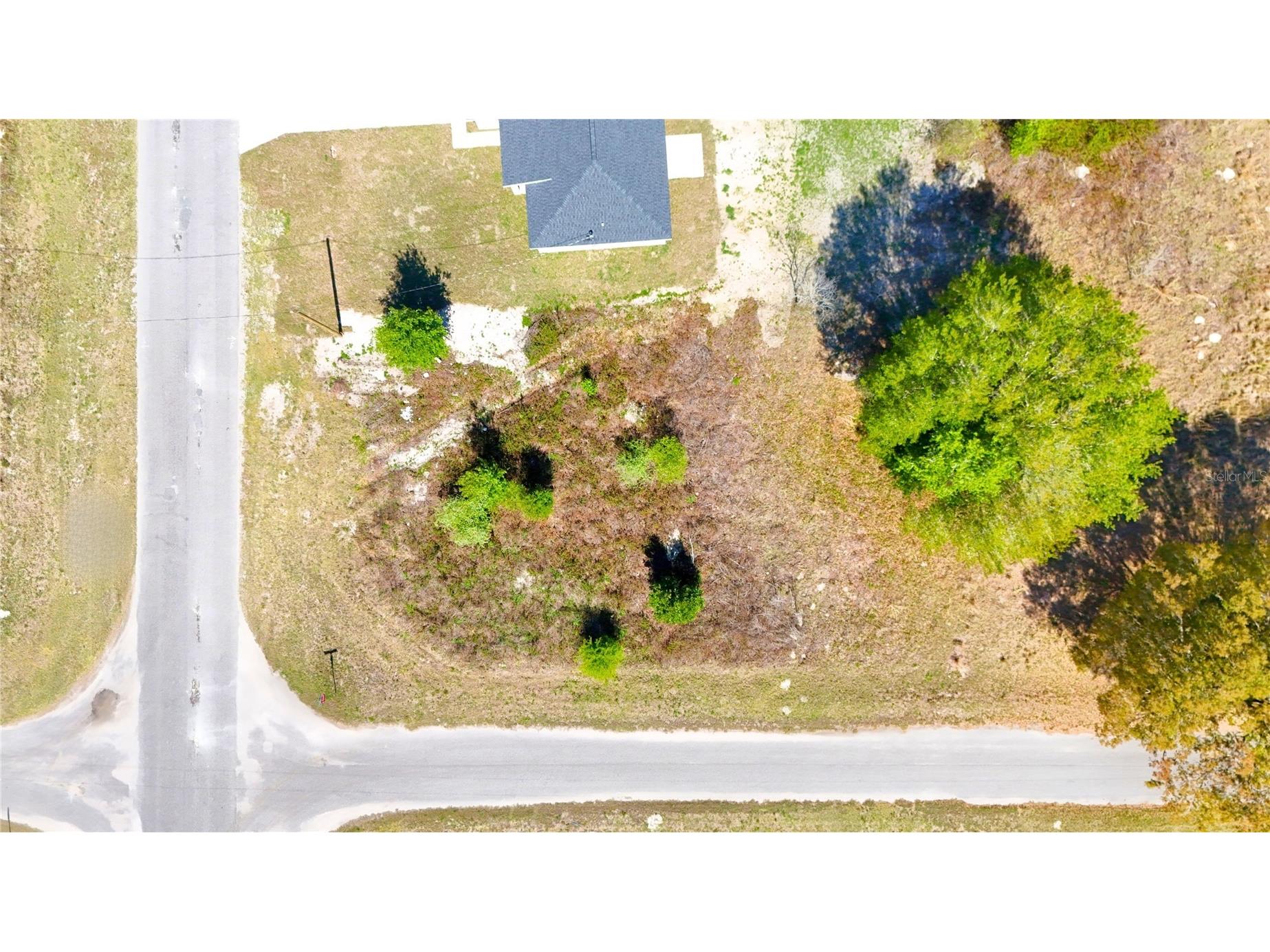 TBD Corner Lot Fisher Road Ocklawaha FL 32179 A4687971 image10