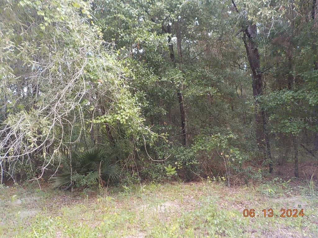 TBD Corner Sw 100 Ave Ad Sw 152 Place Dunnellon FL 34432 OM680220 image1