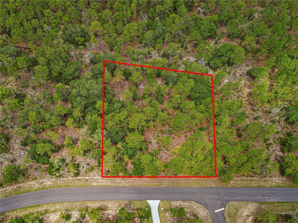 TBD County Road 243b Wildwood FL 34785 G5069221 image1