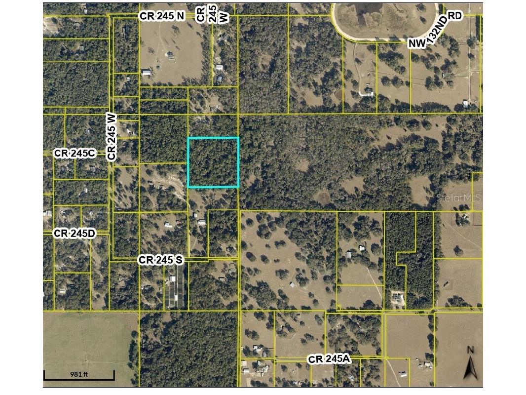TBD County Road 245s Oxford FL 34484 OM724687 image1
