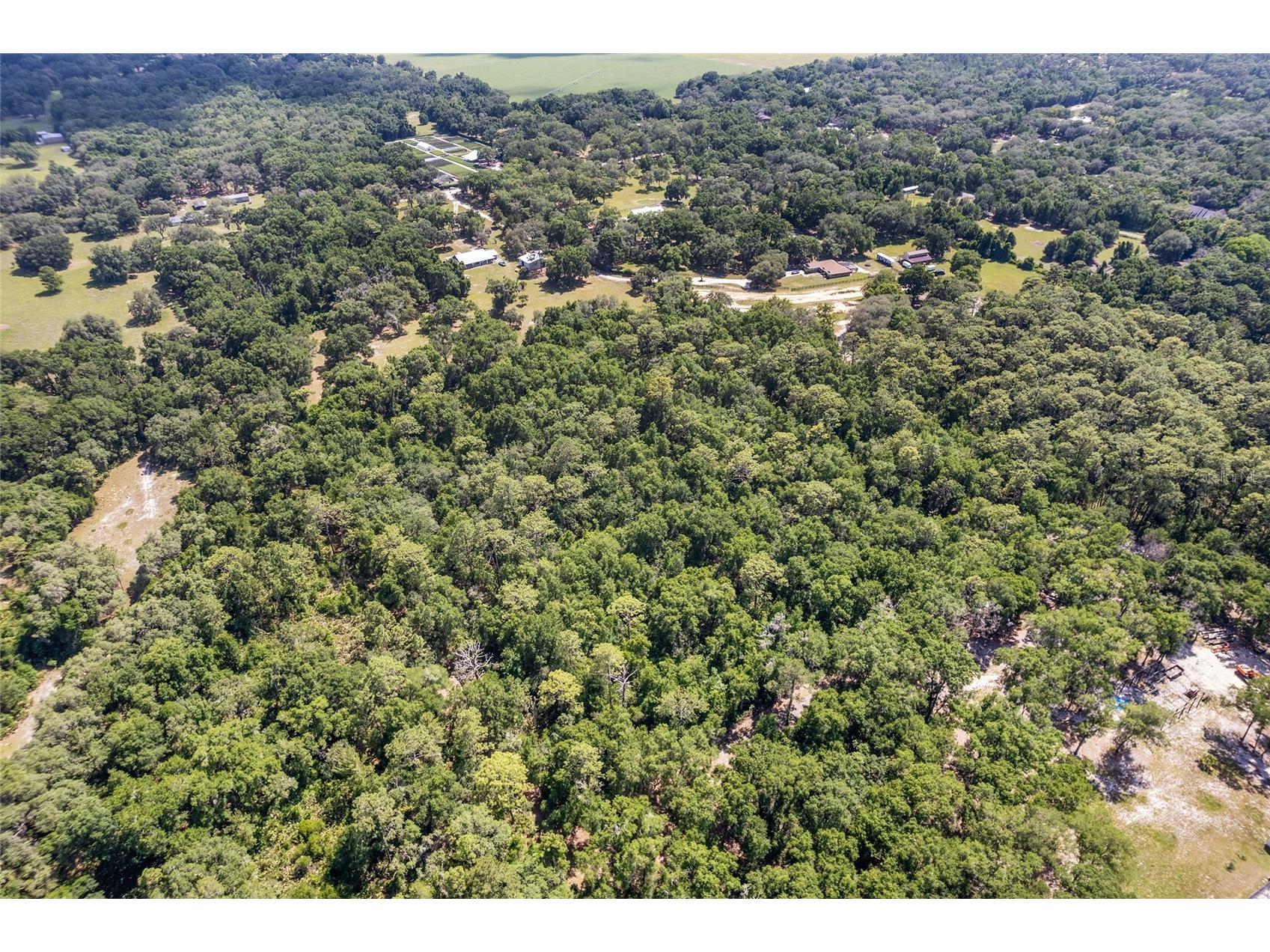 TBD County Road 245s Oxford FL 34484 OM724687 image2