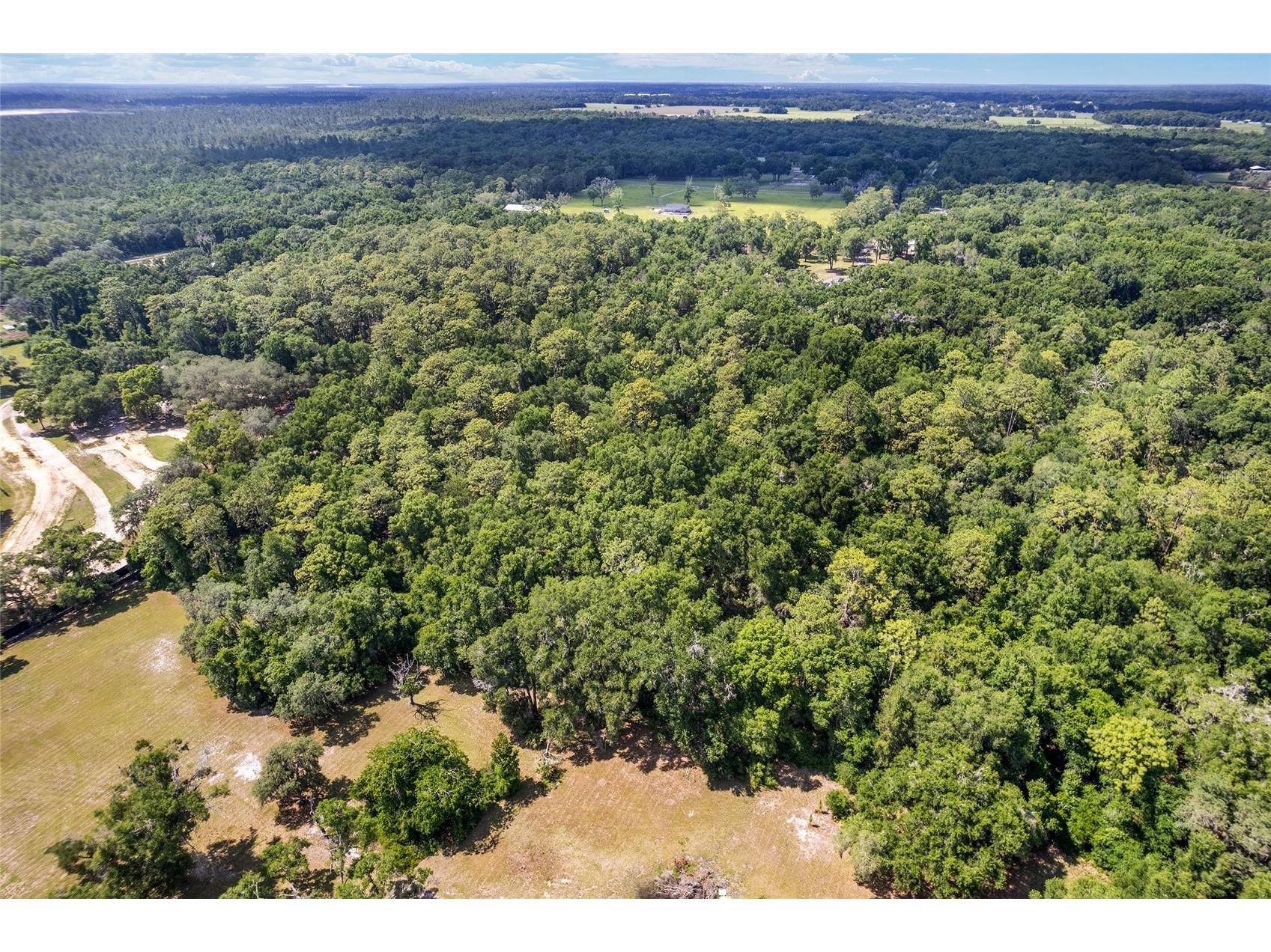 TBD County Road 245s Oxford FL 34484 OM724687 image20