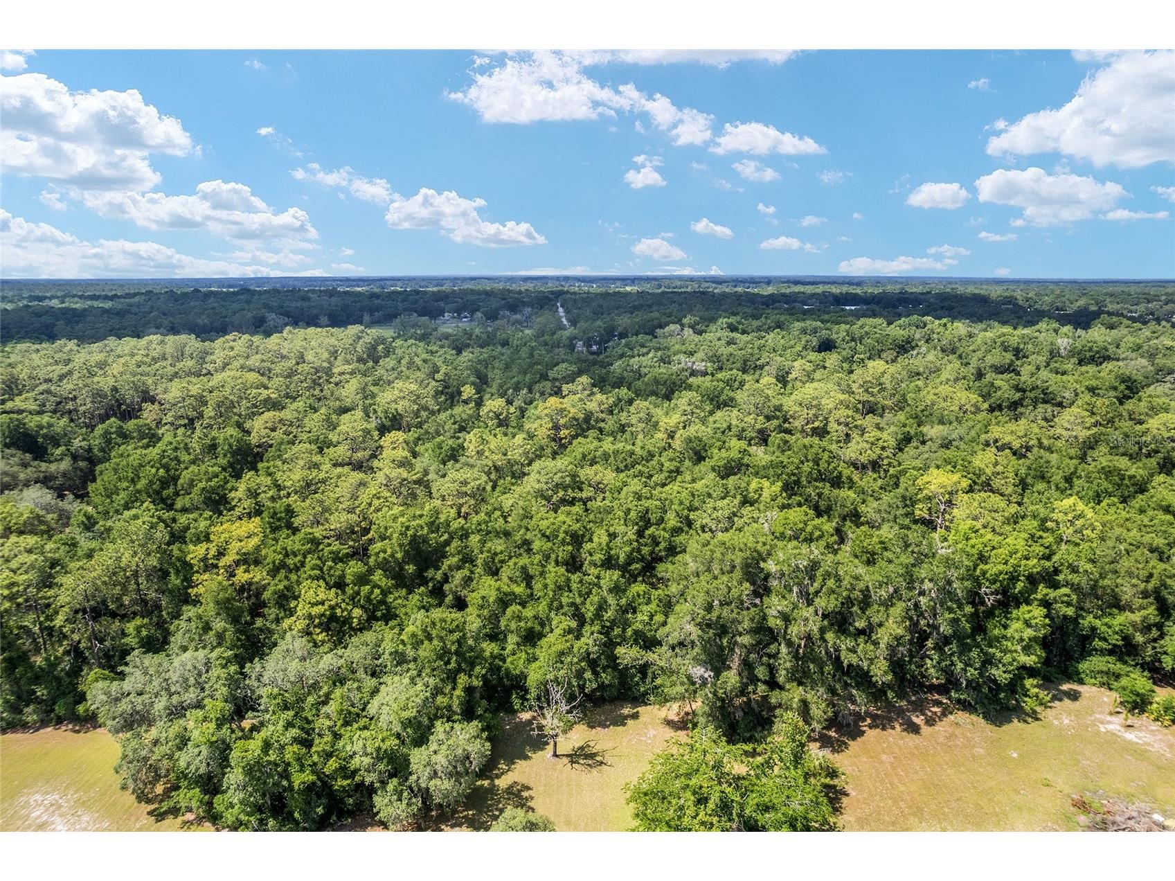 TBD County Road 245s Oxford FL 34484 OM724687 image22