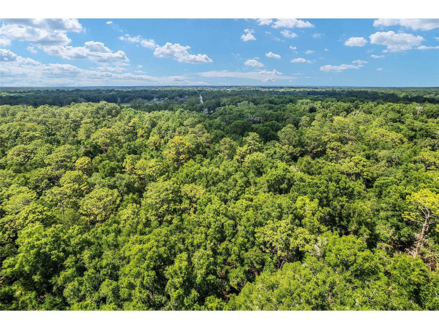 TBD County Road 245s Oxford FL 34484 OM724687 image23