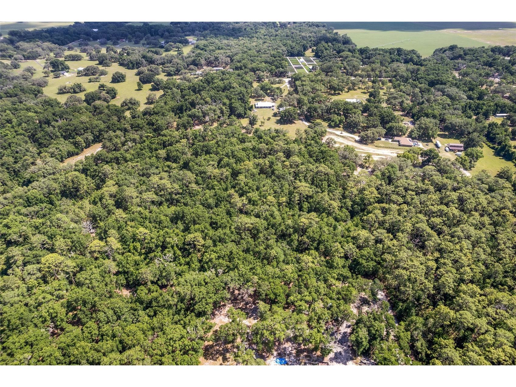 TBD County Road 245s Oxford FL 34484 OM724687 image3