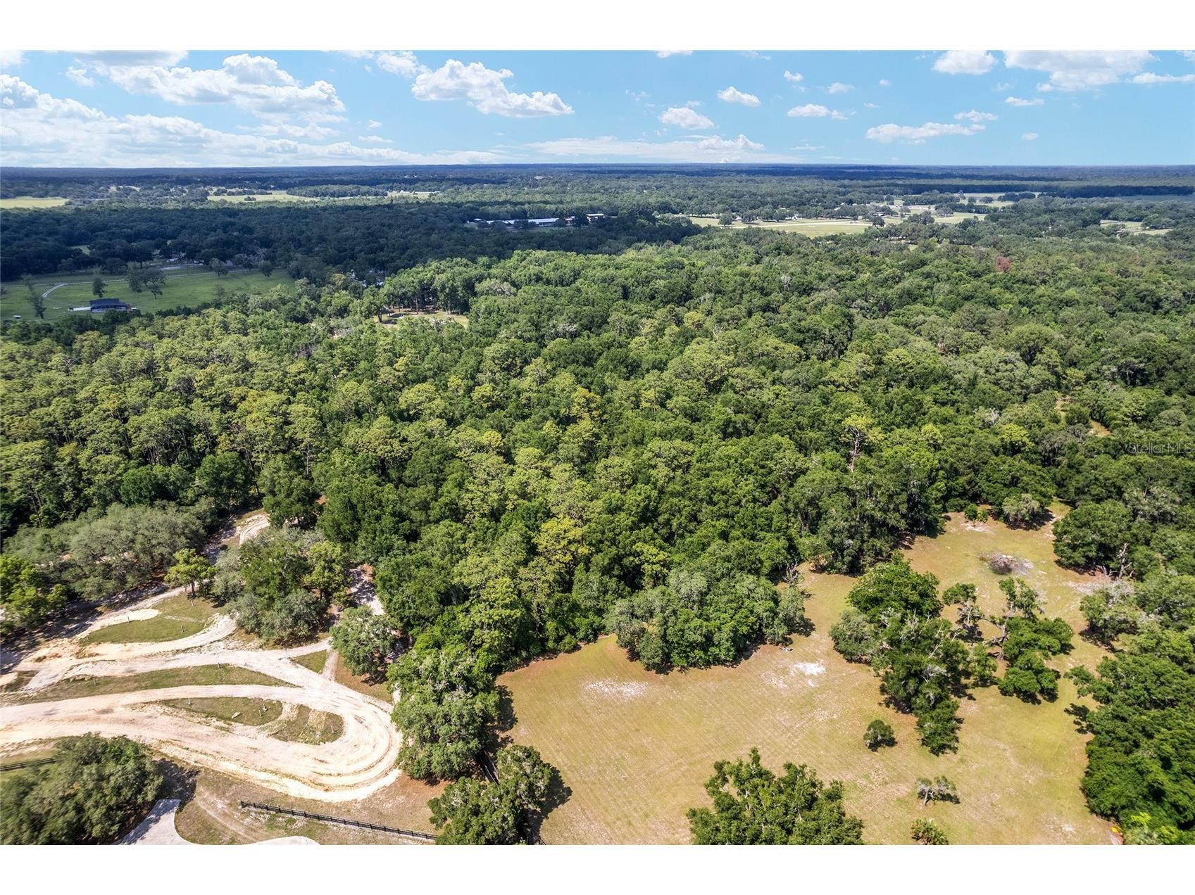 TBD County Road 245s Oxford FL 34484 OM724687 image6