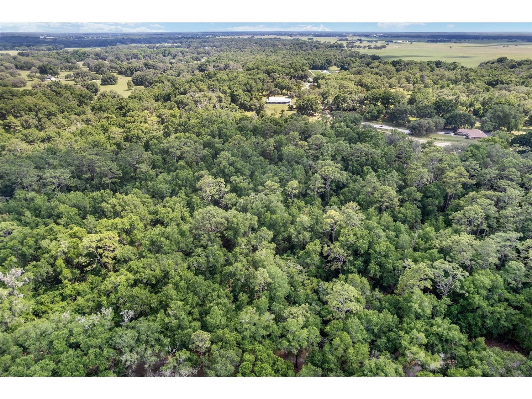 TBD County Road 245s Oxford FL 34484 OM724687 image7
