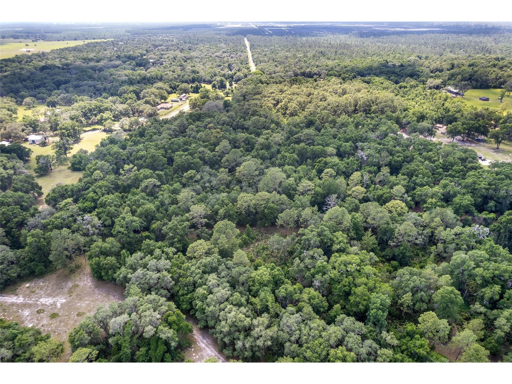 TBD County Road 245s Oxford FL 34484 OM724687 image8