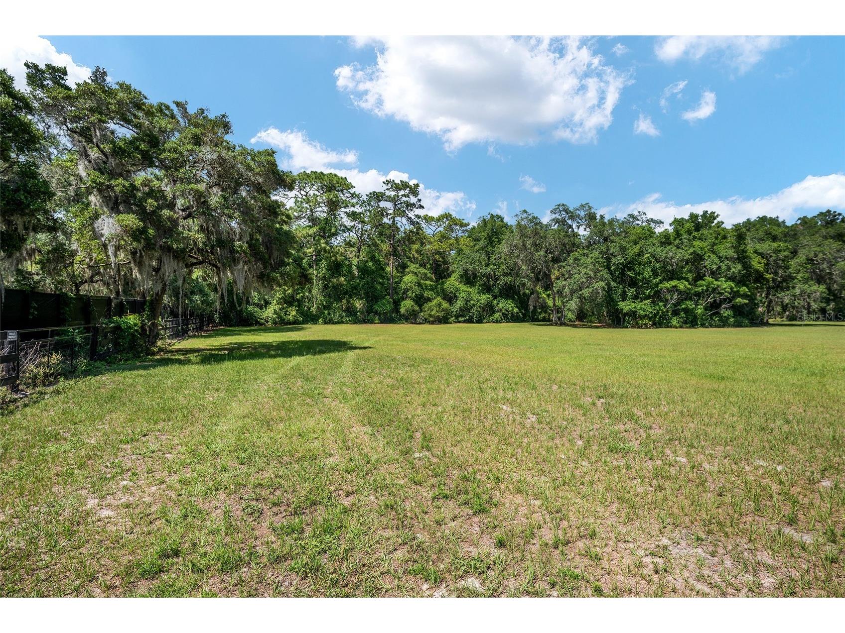 TBD County Road 245s Oxford FL 34484 OM724687 image9