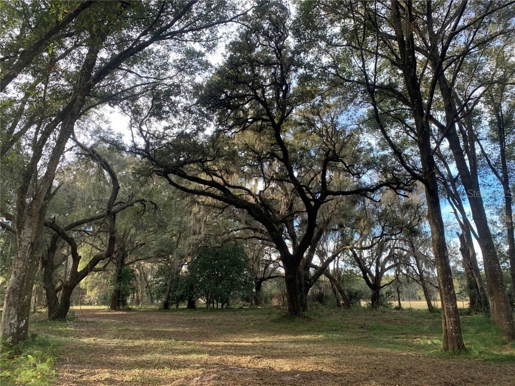 TBD County Road 308 / Huntington Road Crescent City FL 32112 A4574544 image1