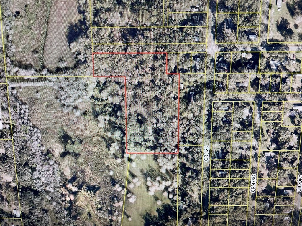TBD County Road 423 Lake Panasoffkee FL 33538 OM707608 image1