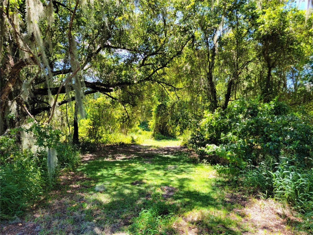 TBD County Road 48 #PARCEL 10 Yalaha FL 34797 O6048029 image1