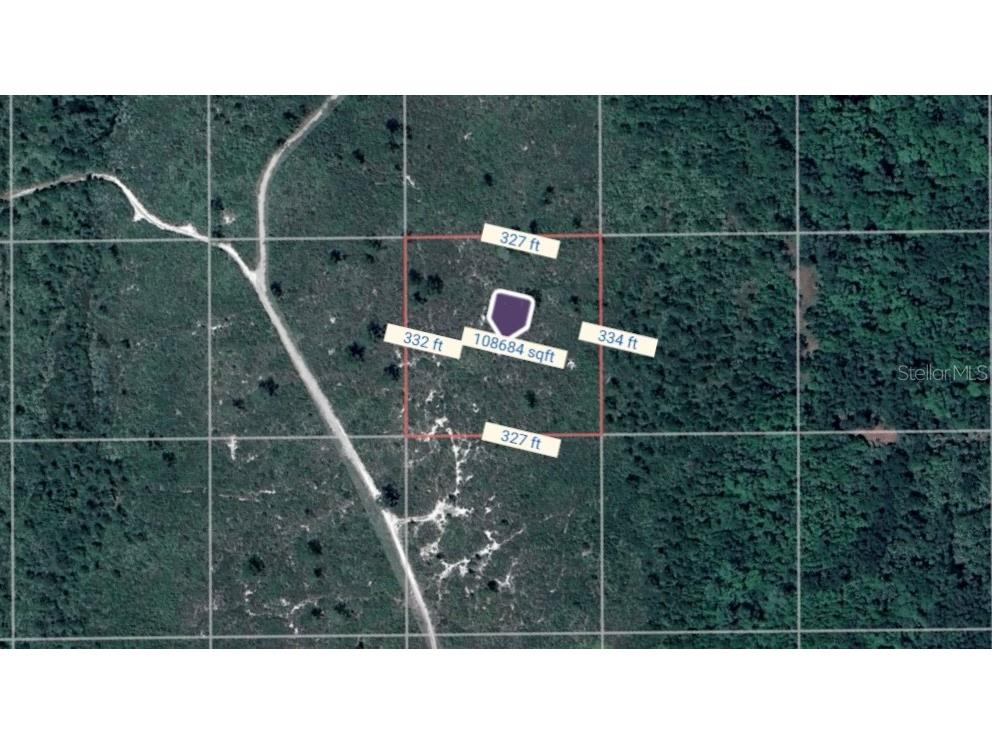 TBD County Road Oak Hill FL 32759 OM709075 image1