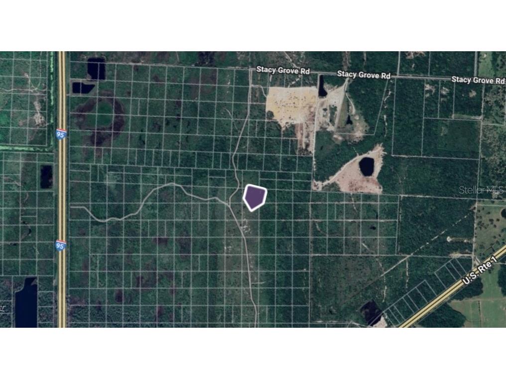 TBD County Road Oak Hill FL 32759 OM709075 image2