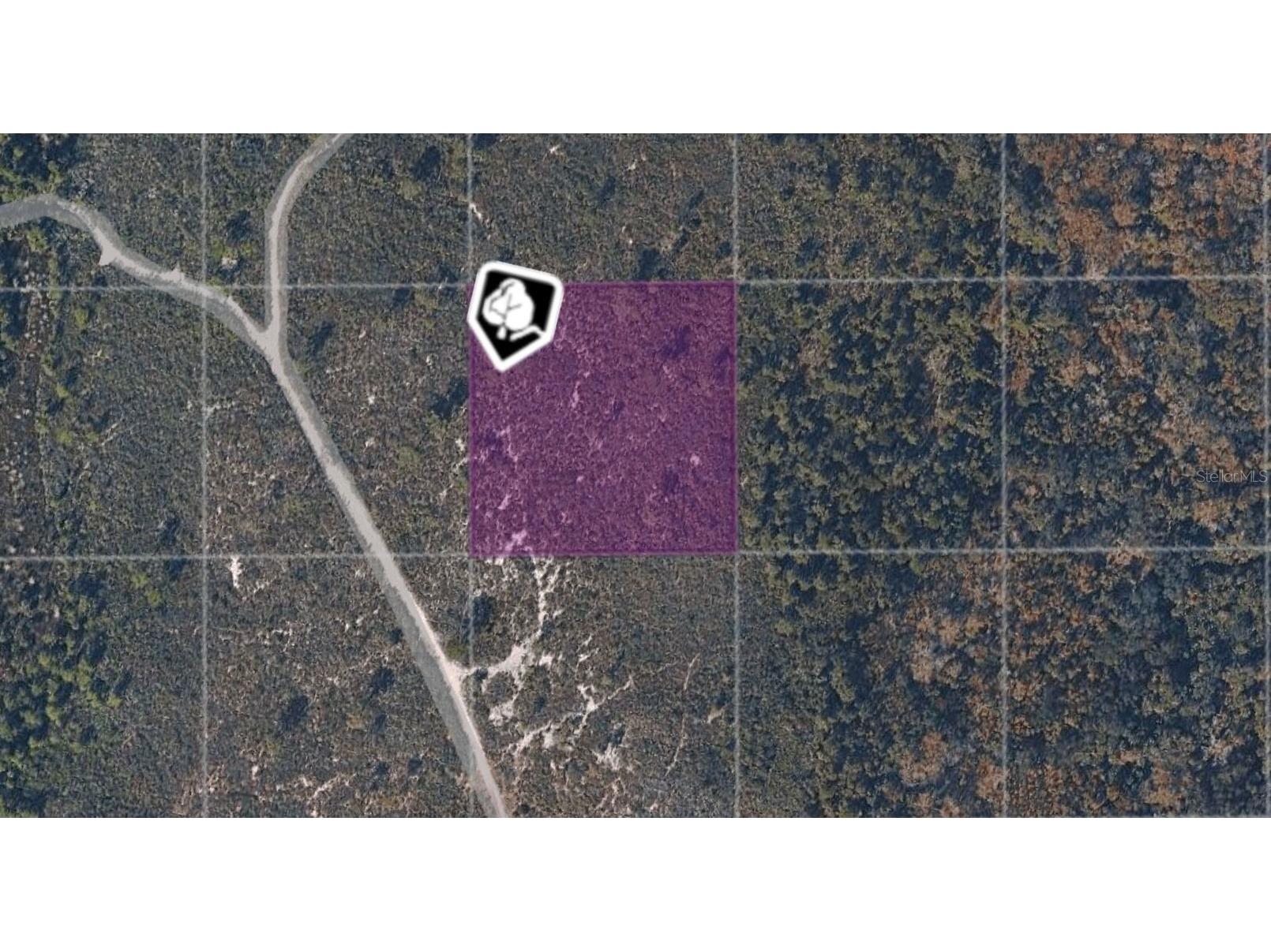 TBD County Road Oak Hill FL 32759 OM722527 image1