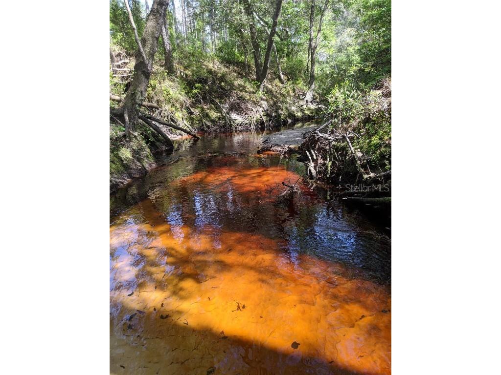 TBD Cr 136a Live Oak FL 32060 - Rocky Creek GC510577 image1