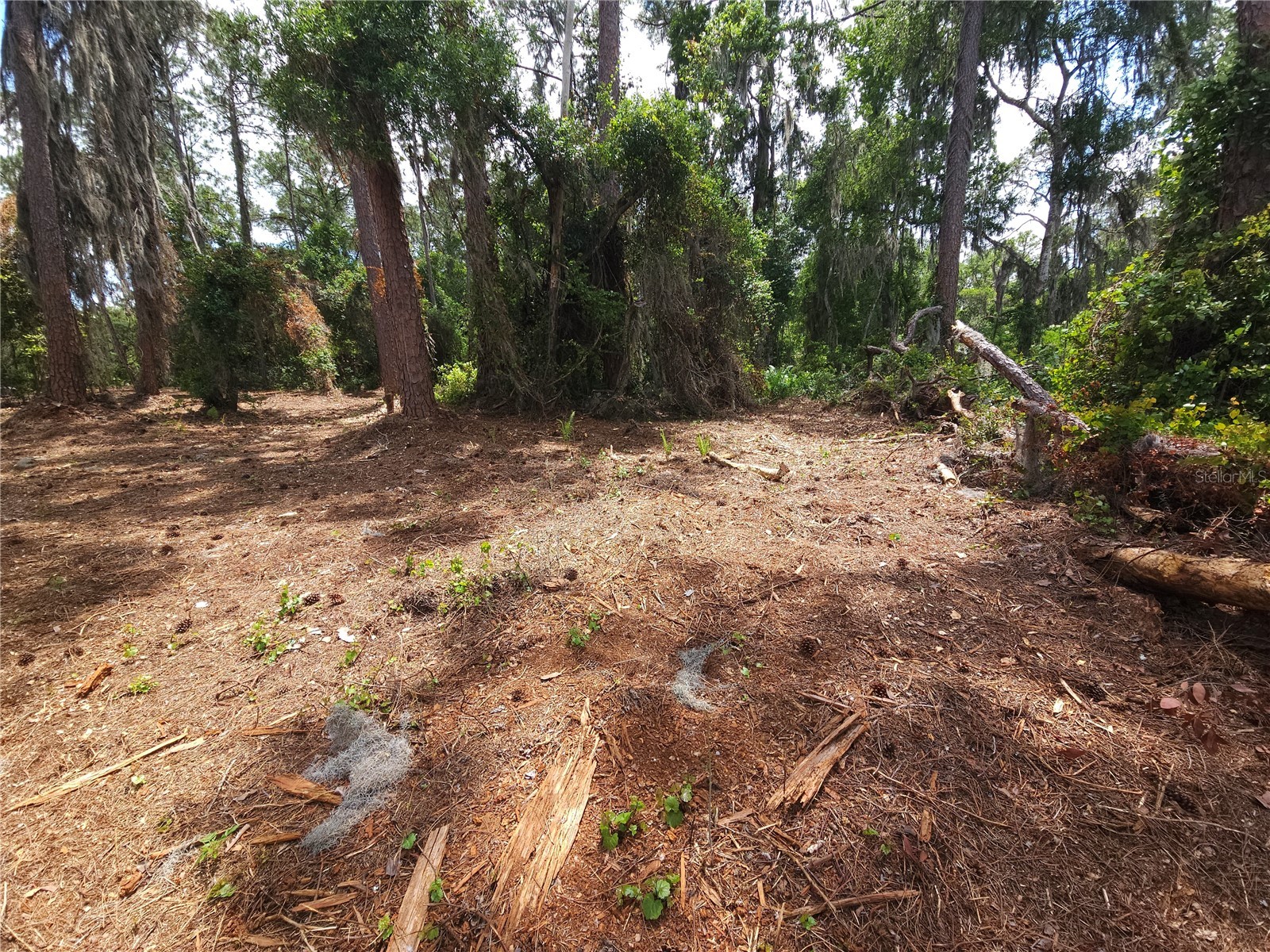 TBD 00 Wesleyan Way Wildwood FL 34785 - LAKE DEATON O6374360 image14