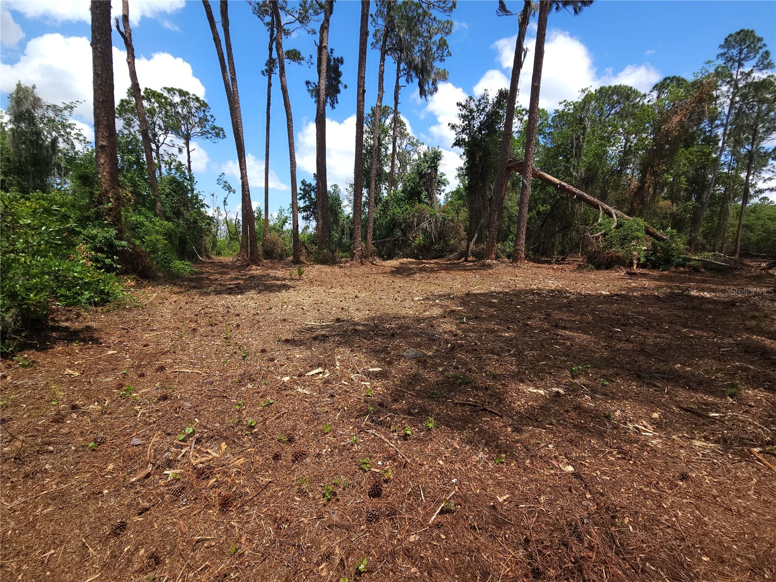 TBD 00 Wesleyan Way Wildwood FL 34785 - LAKE DEATON O6374360 image16