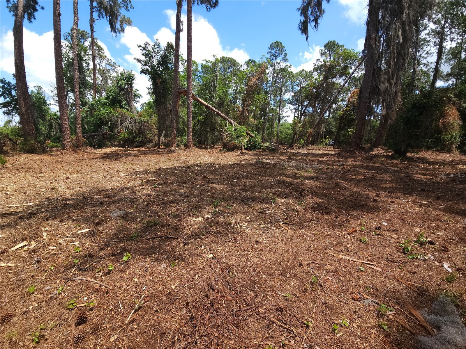 TBD 00 Wesleyan Way Wildwood FL 34785 - LAKE DEATON O6374360 image17