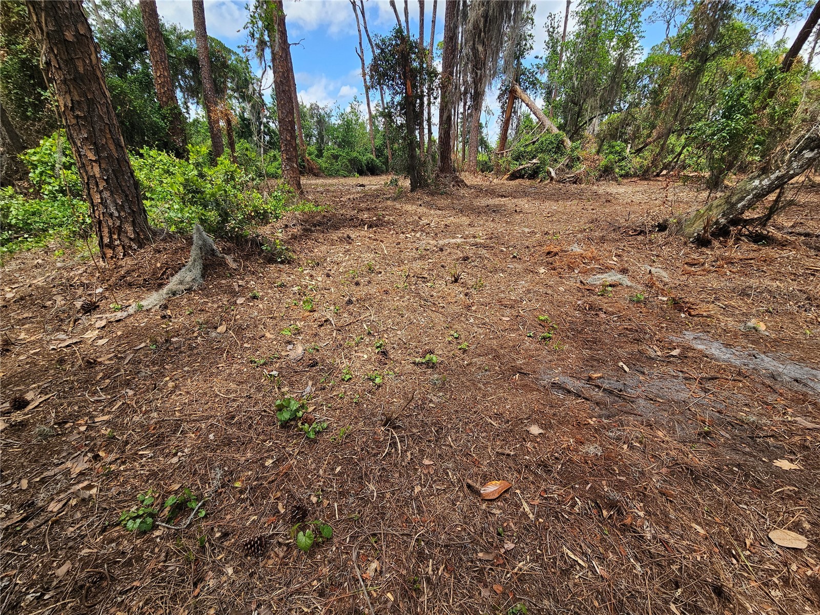 TBD 00 Wesleyan Way Wildwood FL 34785 - LAKE DEATON O6374360 image18