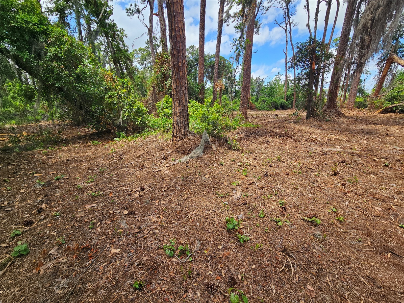 TBD 00 Wesleyan Way Wildwood FL 34785 - LAKE DEATON O6374360 image19