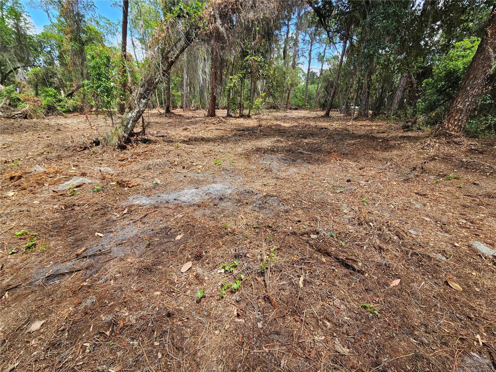TBD 00 Wesleyan Way Wildwood FL 34785 - LAKE DEATON O6374360 image20