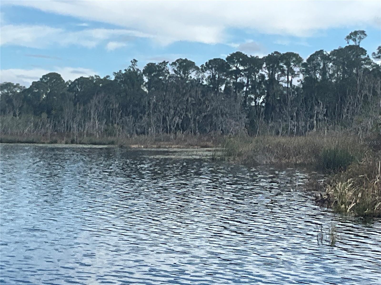 TBD 00 Wesleyan Way Wildwood FL 34785 - LAKE DEATON O6374360 image5