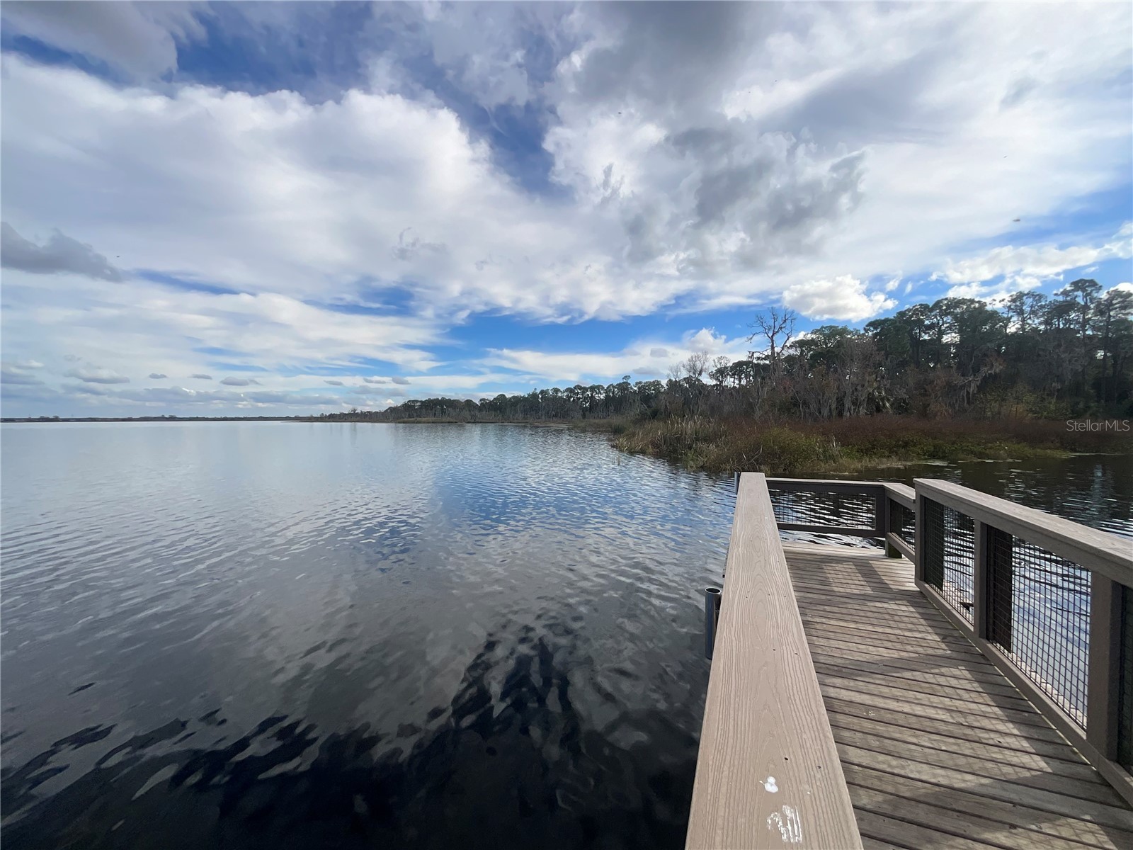 TBD 00 Wesleyan Way Wildwood FL 34785 - LAKE DEATON O6374360 image9